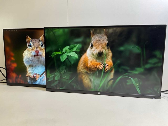 Hp (z27n) 27”, 2560x1440 (qhd) ips monitors (2x) - afbeelding 3 van  7