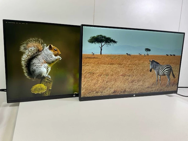 Hp (z27n) 27”, 2560x1440 (qhd) ips monitors (2x) - afbeelding 2 van  8