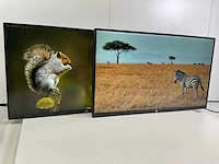 Hp (z27n) 27”, 2560x1440 (qhd) ips monitors (2x) - afbeelding 2 van  8