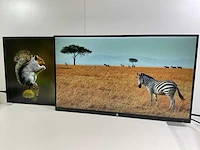 Hp (z27n) 27”, 2560x1440 (qhd) ips monitors (2x) - afbeelding 3 van  8