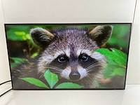 Hp (z27u g3) 27”, 2560x1440 (qhd) ips monitor (2x) - afbeelding 4 van  6