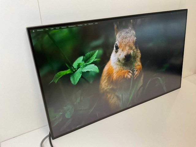 Hp (z32 4k) 32”, 3840x2160 (uhd) ips monitor - afbeelding 3 van  6