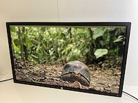 Hp (z32x) 32”, 3840x2160 (uhd) ips monitor - afbeelding 3 van  6