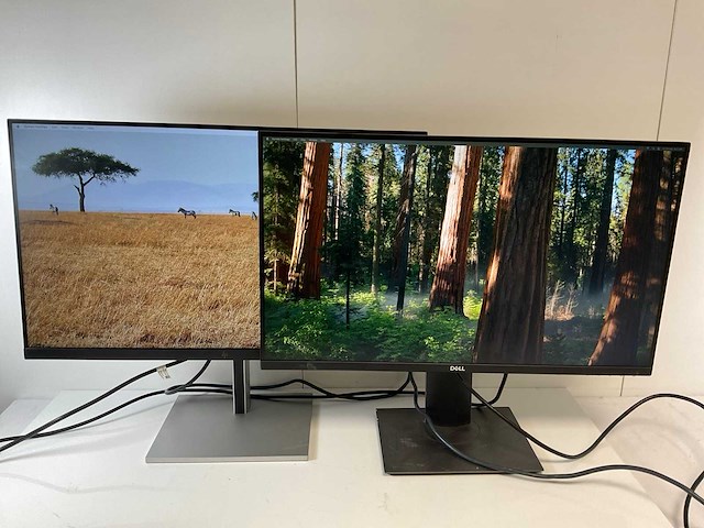 Hp/dell mix model monitors - check description (2x) - afbeelding 1 van  9