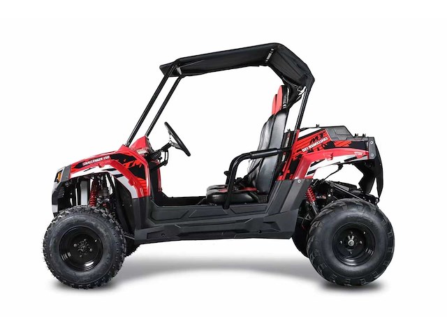 Hpm utv001 cross buggy - afbeelding 12 van  14