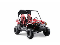 Hpm utv001 cross buggy - afbeelding 14 van  14