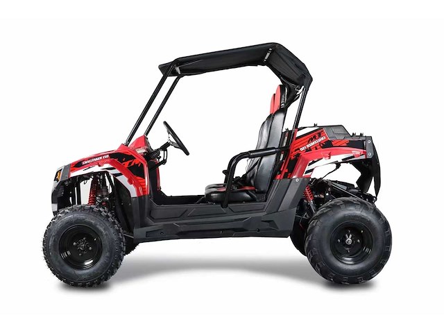 Hpm utv001 cross buggy - afbeelding 5 van  14