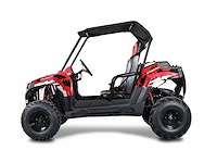 Hpm utv001 cross buggy - afbeelding 5 van  14