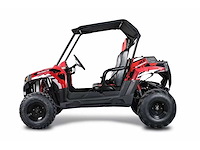Hpm utv001 cross buggy - afbeelding 12 van  14