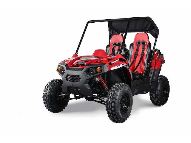 Hpm utv001 cross buggy - afbeelding 11 van  14