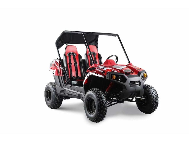 Hpm utv001 cross buggy - afbeelding 14 van  14