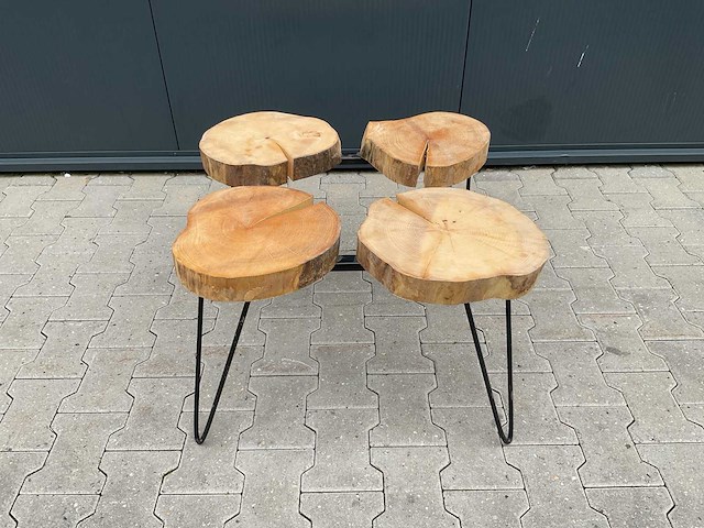 Hsm rh4d bijzettafel - afbeelding 7 van  8