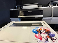 Huafei proffesionele dtf-printers (gebasseerd op epson p6000) (2x) - afbeelding 2 van  32