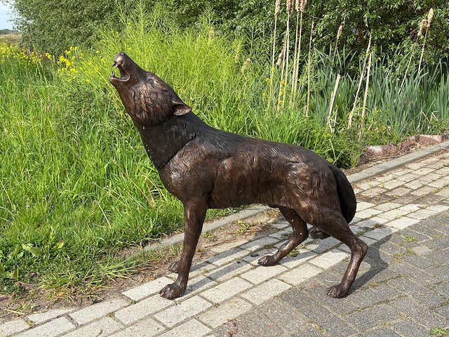 Huilende wolf - afbeelding 1 van  2