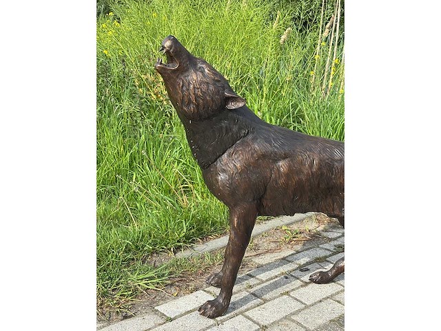 Huilende wolf - afbeelding 2 van  2