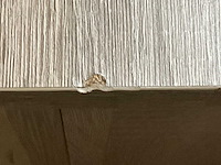 Hunter salontafel - afbeelding 2 van  10