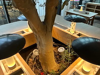 Hutten - bartafel met boom en 12 barkrukken - afbeelding 6 van  7