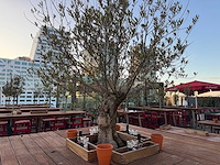 Hutten - bartafel met boom - afbeelding 3 van  12