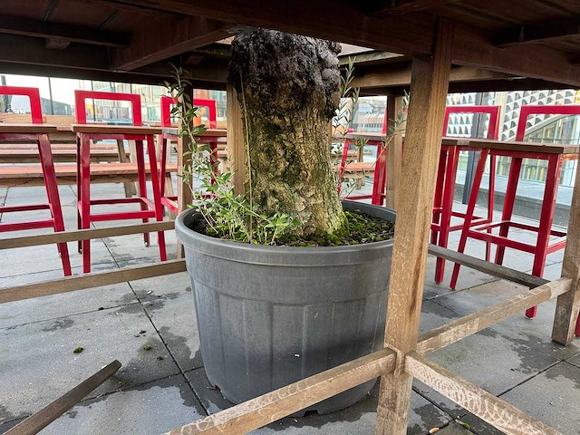 Hutten - bartafel met boom - afbeelding 4 van  12