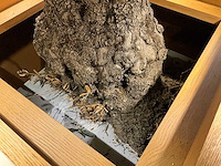 Hutten - bartafel met marmeren opbouw, verlichting & boom - afbeelding 5 van  8