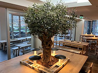 Hutten - bartafel met marmeren opbouw, verlichting & boom - afbeelding 7 van  8