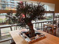 Hutten - bartafel met marmeren opbouw, verlichting & boom - afbeelding 5 van  9