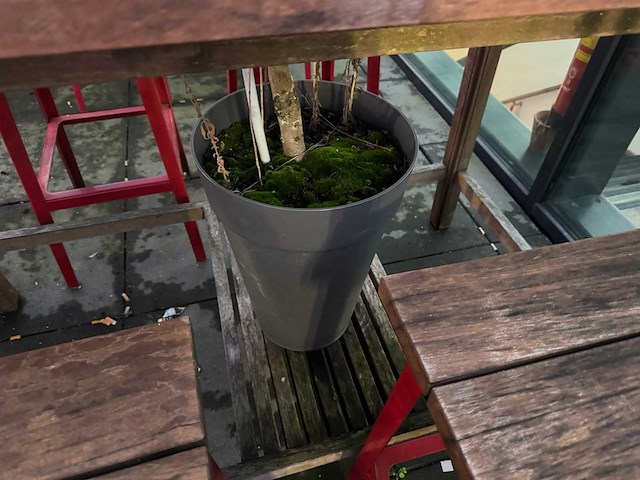 Hutten - terras bartafel met boompjes - afbeelding 5 van  6