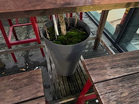 Hutten - terras bartafel met boompjes - afbeelding 5 van  6