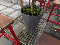 Hutten - terras bartafel met boompjes - afbeelding 6 van  6