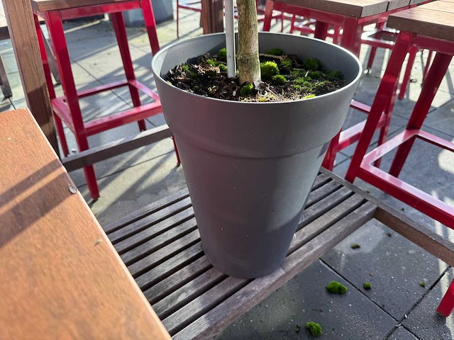 Hutten - terrasset bartafel met 10 krukken - afbeelding 12 van  12