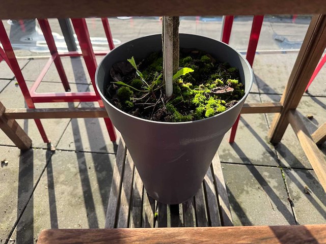 Hutten - terrasset bartafel met 8 krukken - afbeelding 6 van  8