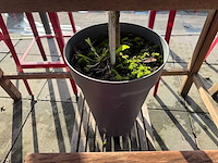 Hutten - terrasset bartafel met 8 krukken - afbeelding 6 van  8