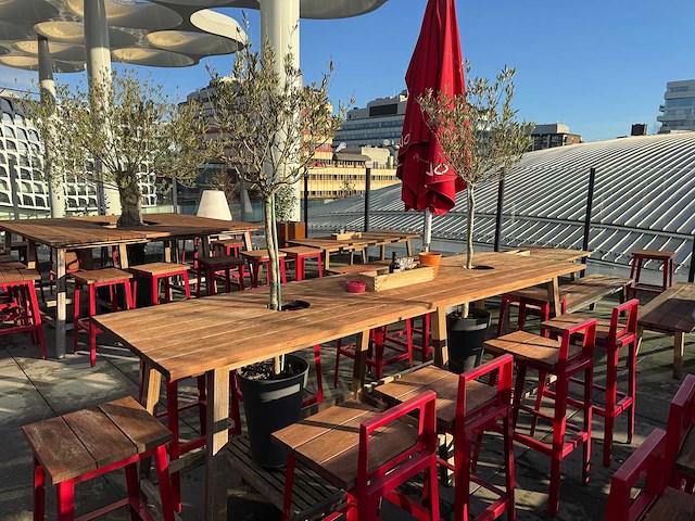 Hutten - terrasset bartafel met planten en 8 krukken - afbeelding 9 van  13