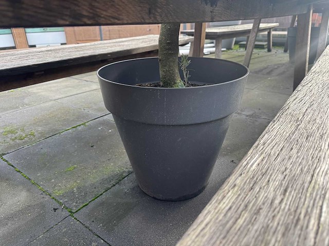 Hutten - terrastafel met boom - afbeelding 5 van  6