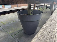 Hutten - terrastafel met boom - afbeelding 5 van  6