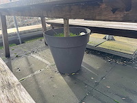 Hutten - terrastafel met boom - afbeelding 4 van  5