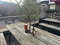 Hutten - terrastafel met boomgat - afbeelding 3 van  4