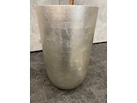 Hydrocultuur plant met pot - ficus lyrata - afbeelding 3 van  11