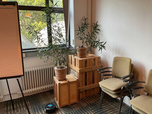 Hydrocultuur plant met pot op kist (2x) - afbeelding 1 van  5