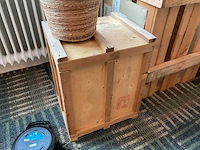 Hydrocultuur plant met pot op kist (2x) - afbeelding 3 van  5