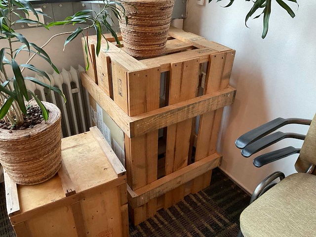Hydrocultuur plant met pot op kist (2x) - afbeelding 5 van  5