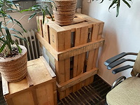 Hydrocultuur plant met pot op kist (2x) - afbeelding 5 van  5