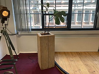 Hydrocultuur plant met pot - afbeelding 2 van  3