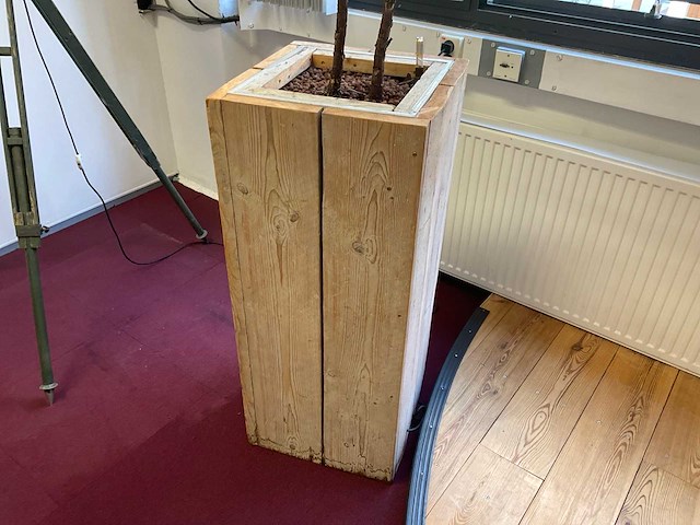 Hydrocultuur plant met pot - afbeelding 1 van  3