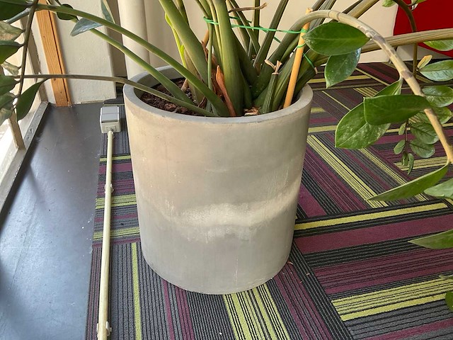 Hydrocultuur plant met pot - afbeelding 2 van  2