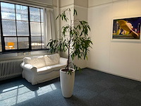 Hydrocultuur plant met pot - afbeelding 1 van  2