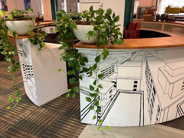 Hydrocultuur plant met pot - afbeelding 1 van  1
