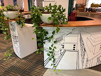 Hydrocultuur plant met pot - afbeelding 1 van  1