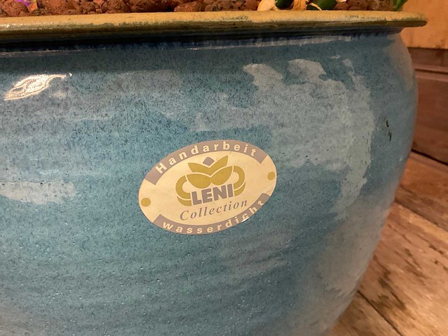 Hydrocultuur plant met pot - afbeelding 2 van  2