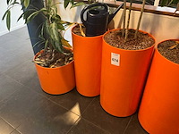 Hydrocultuur planten met pot (10x) - afbeelding 7 van  8